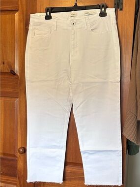 J•Jill J Jill Straight Leg Crop Jeans